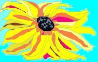 Add New Collection - Sunny Flower - Oil And Canvas